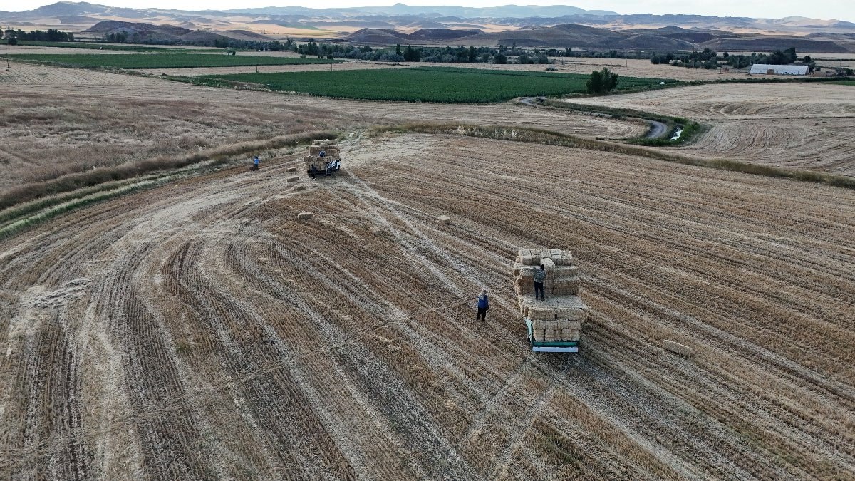 Yozgat'ta hasat sonrası balya mesaisi: Günlük kazanç 7 bin lirayı buluyor