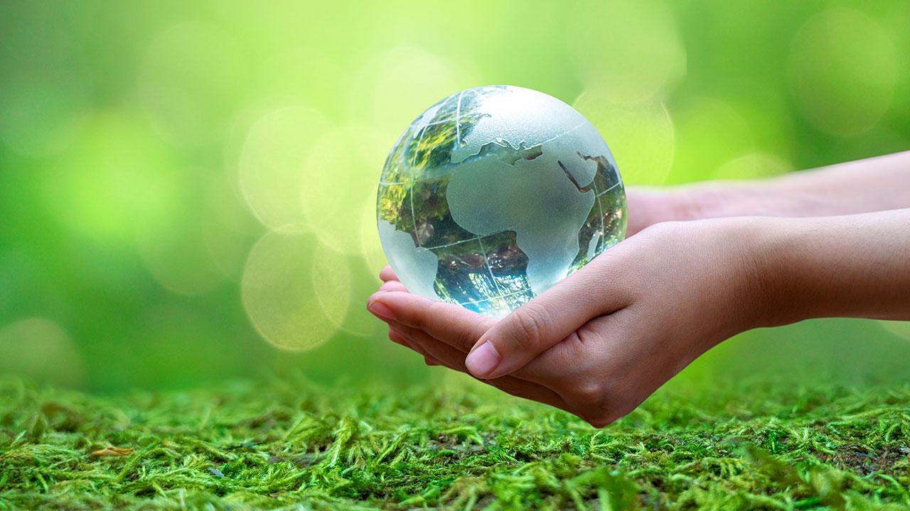 COP31 Gençlik İklim Ideathonu Başvuruları Açıldı