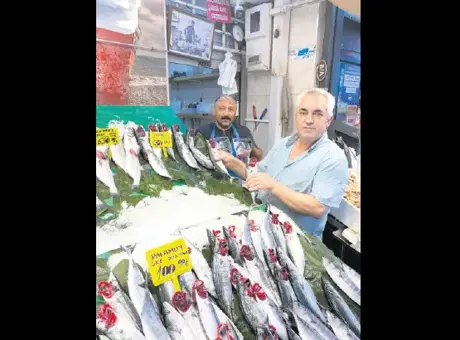 Palamut tezgahta 100 TL’ye düştü